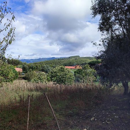 Alojamento Casa Do Cabeco Alombada Macinhata do Vouga Eksteriør billede