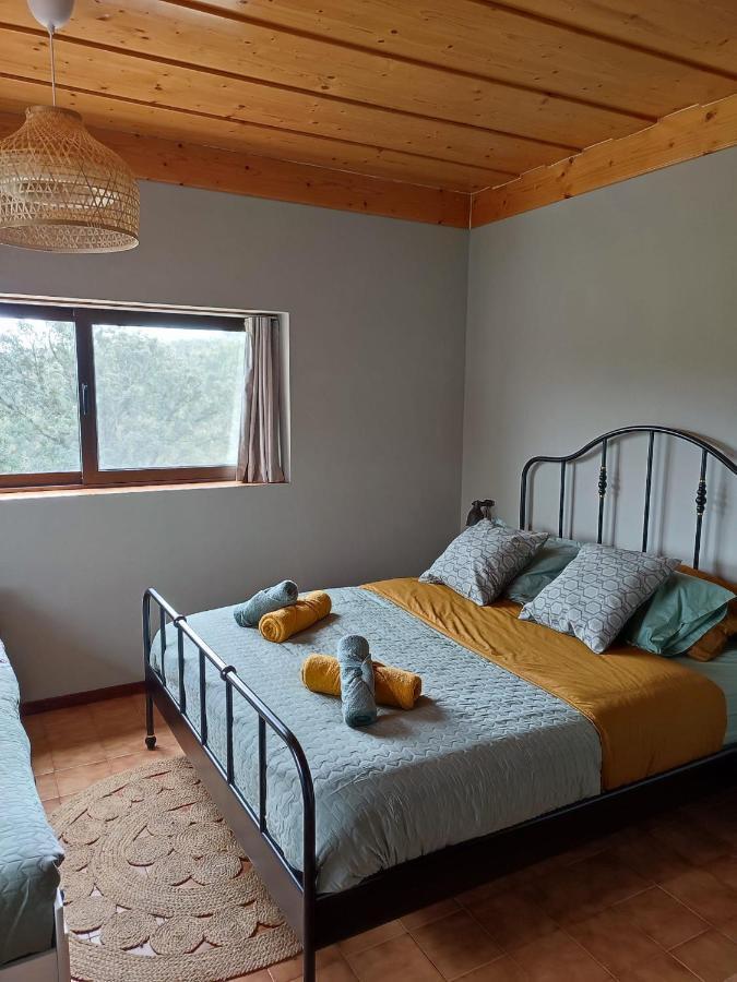 Alojamento Casa Do Cabeco Alombada Macinhata do Vouga Eksteriør billede