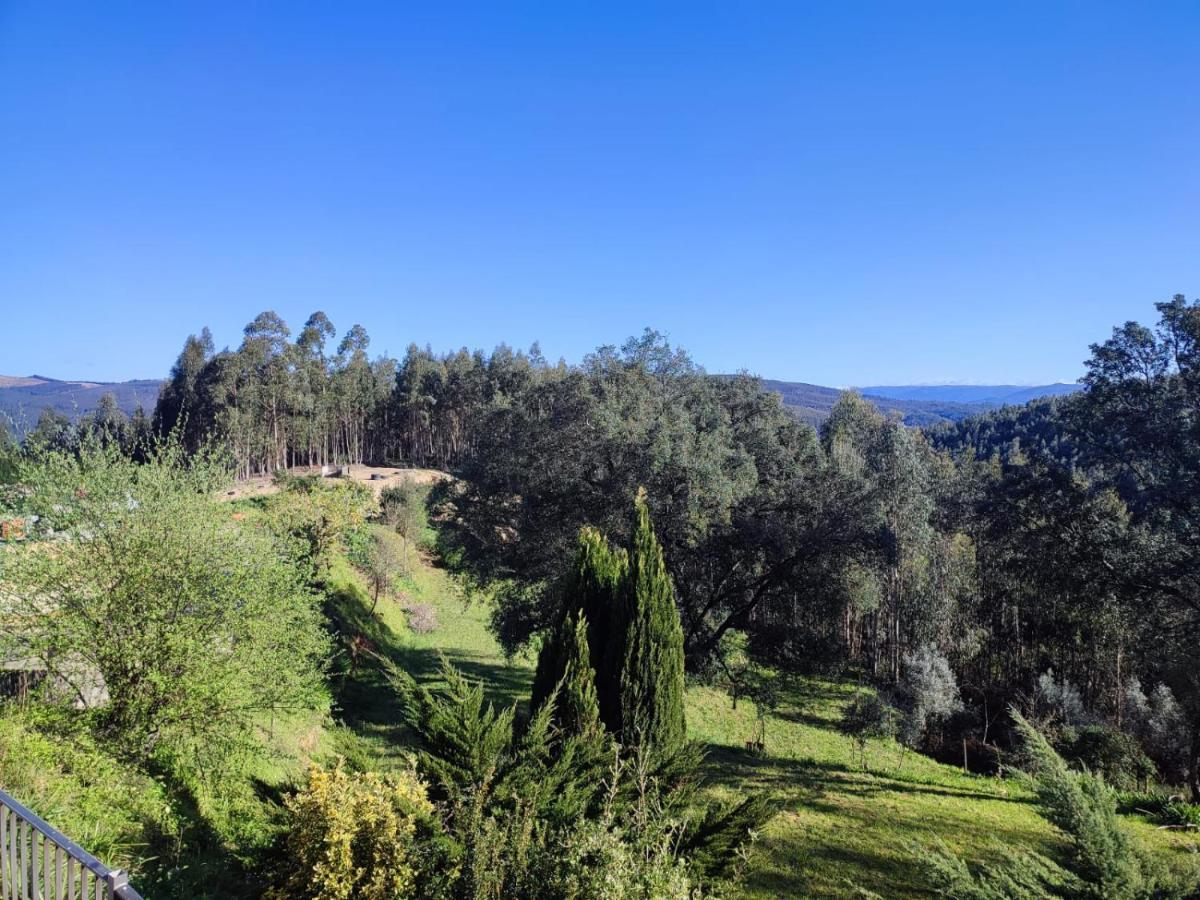 Alojamento Casa Do Cabeco Alombada Macinhata do Vouga Eksteriør billede