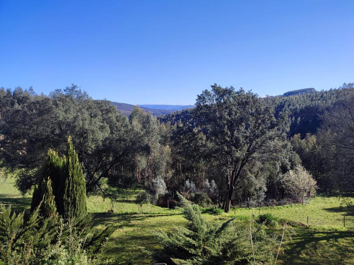 Alojamento Casa Do Cabeco Alombada Macinhata do Vouga Eksteriør billede