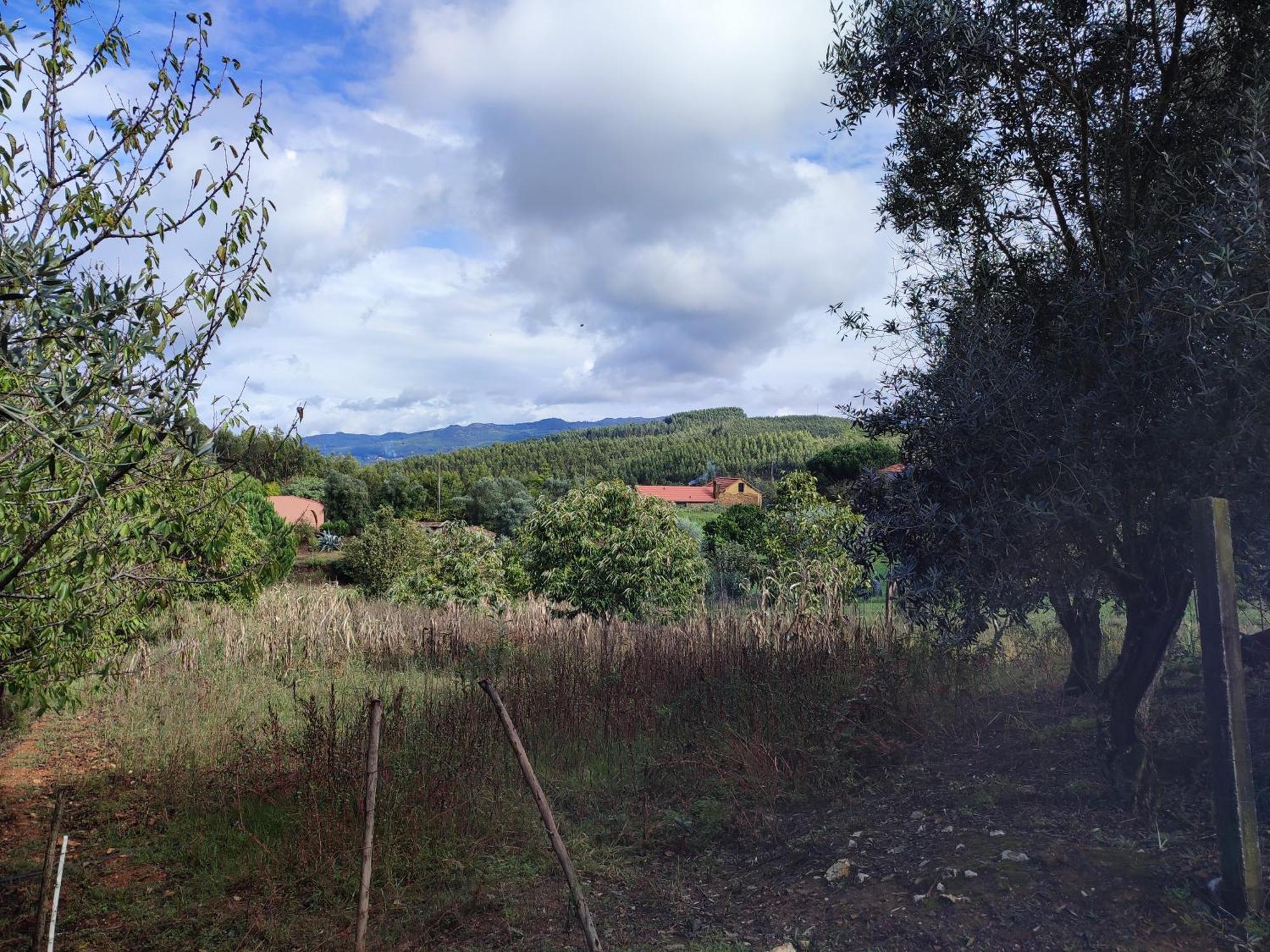 Alojamento Casa Do Cabeco Alombada Macinhata do Vouga Eksteriør billede